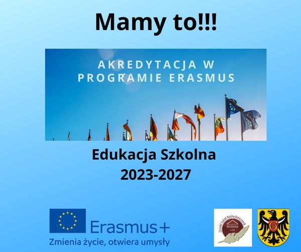 Europo przybywamy!!!, Zespół Szkół Politechnicznych w Głogowie