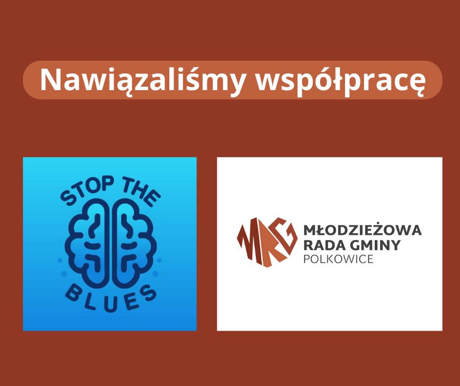 Wsparcie dla młodzieży: Polkowice mobilizują się z projektem Stop The Blues., Zespół Szkół Politechnicznych w Głogowie