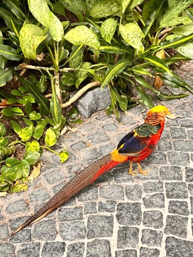 Wycieczka Berlin + Tropical Island (09&ndash;10.04) ￼, Zesp&oacute;ł Szk&oacute;ł Politechnicznych w Głogowie