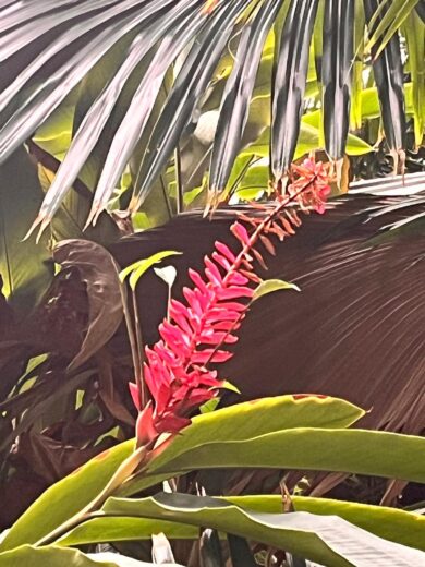 Wycieczka Berlin + Tropical Island (09&ndash;10.04) ￼, Zesp&oacute;ł Szk&oacute;ł Politechnicznych w Głogowie