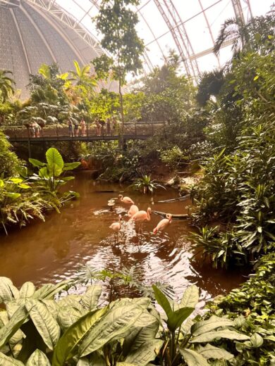 Wycieczka Berlin + Tropical Island (09&ndash;10.04) ￼, Zesp&oacute;ł Szk&oacute;ł Politechnicznych w Głogowie