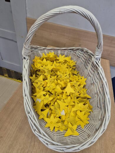 Żonkile w Mechaniku, Zesp&oacute;ł Szk&oacute;ł Politechnicznych w Głogowie