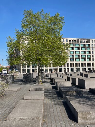 NIEMIECKI INACZEJ!, Zesp&oacute;ł Szk&oacute;ł Politechnicznych w Głogowie