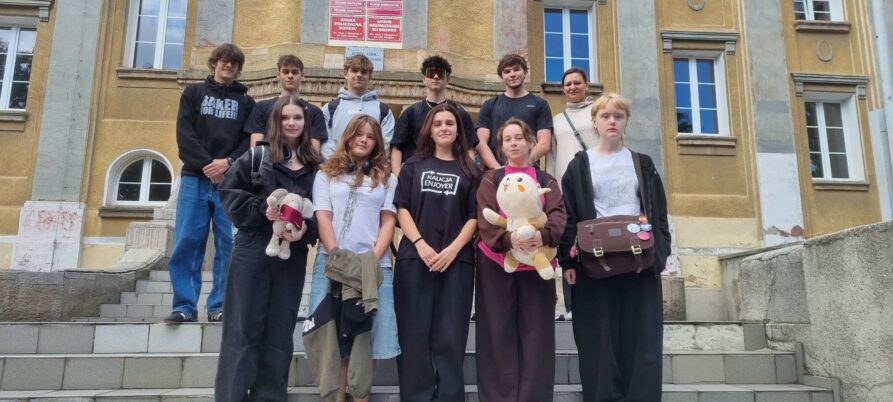 MECHANIK PROJEKTAMI STOI! , Zespół Szkół Politechnicznych w Głogowie